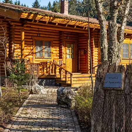 Chalet Seasons Paradise